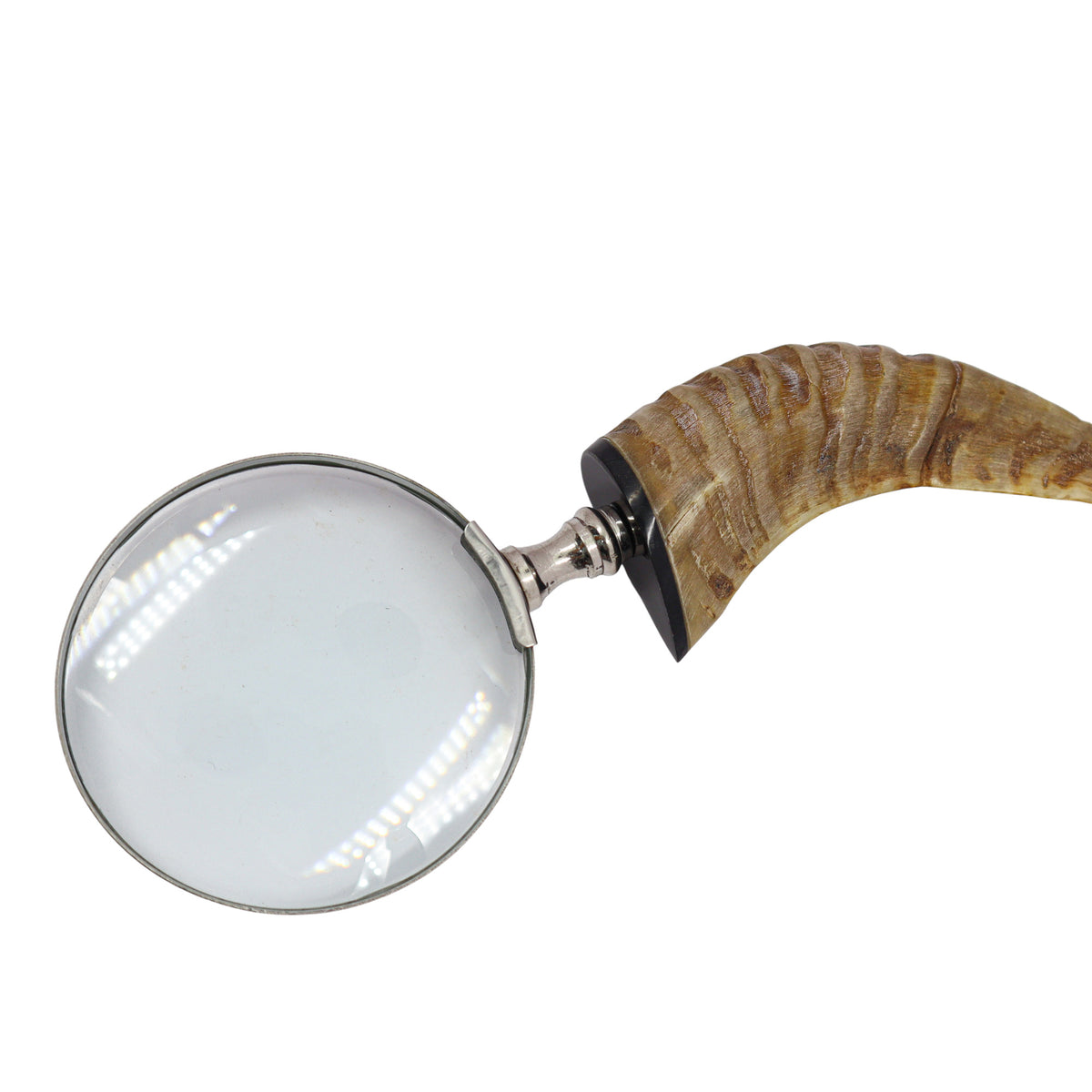 Hand Held Magnifier with Horn Handle