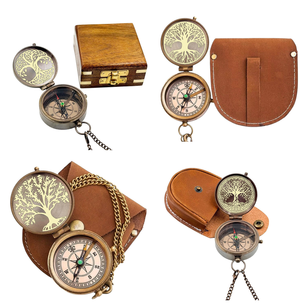 Personalized Tree of Life Compass