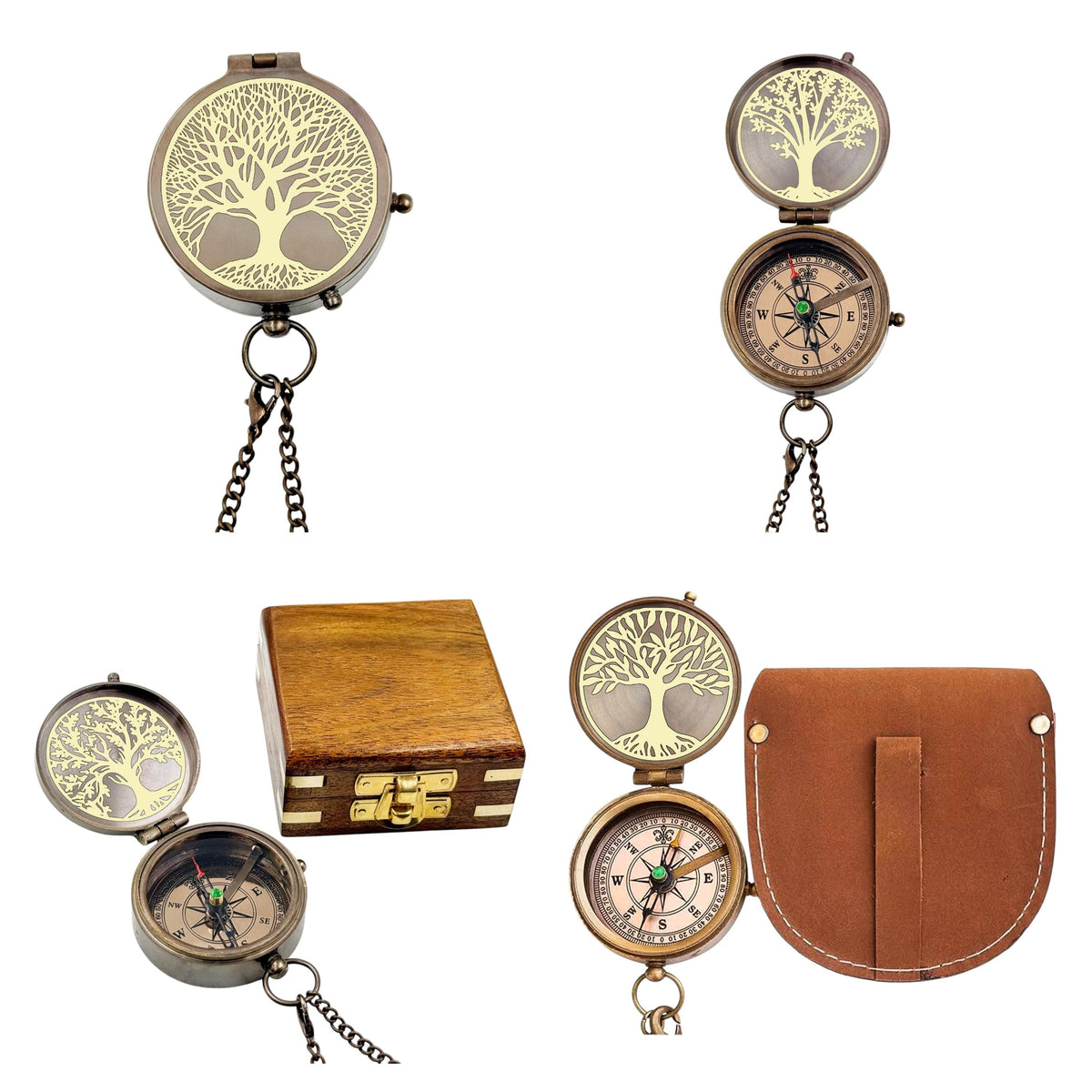 Personalized Tree of Life Compass