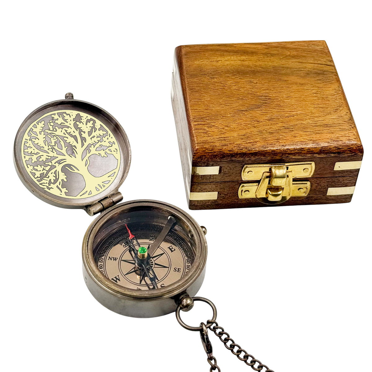 Personalized Tree of Life Compass