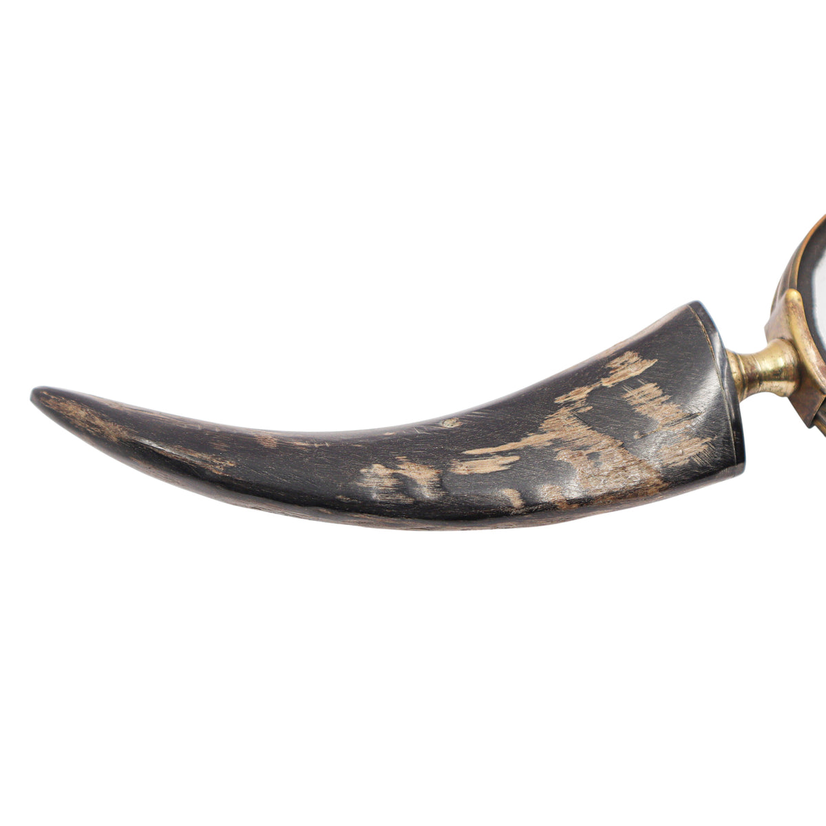 Magnifier Glass with Black Horn Handle