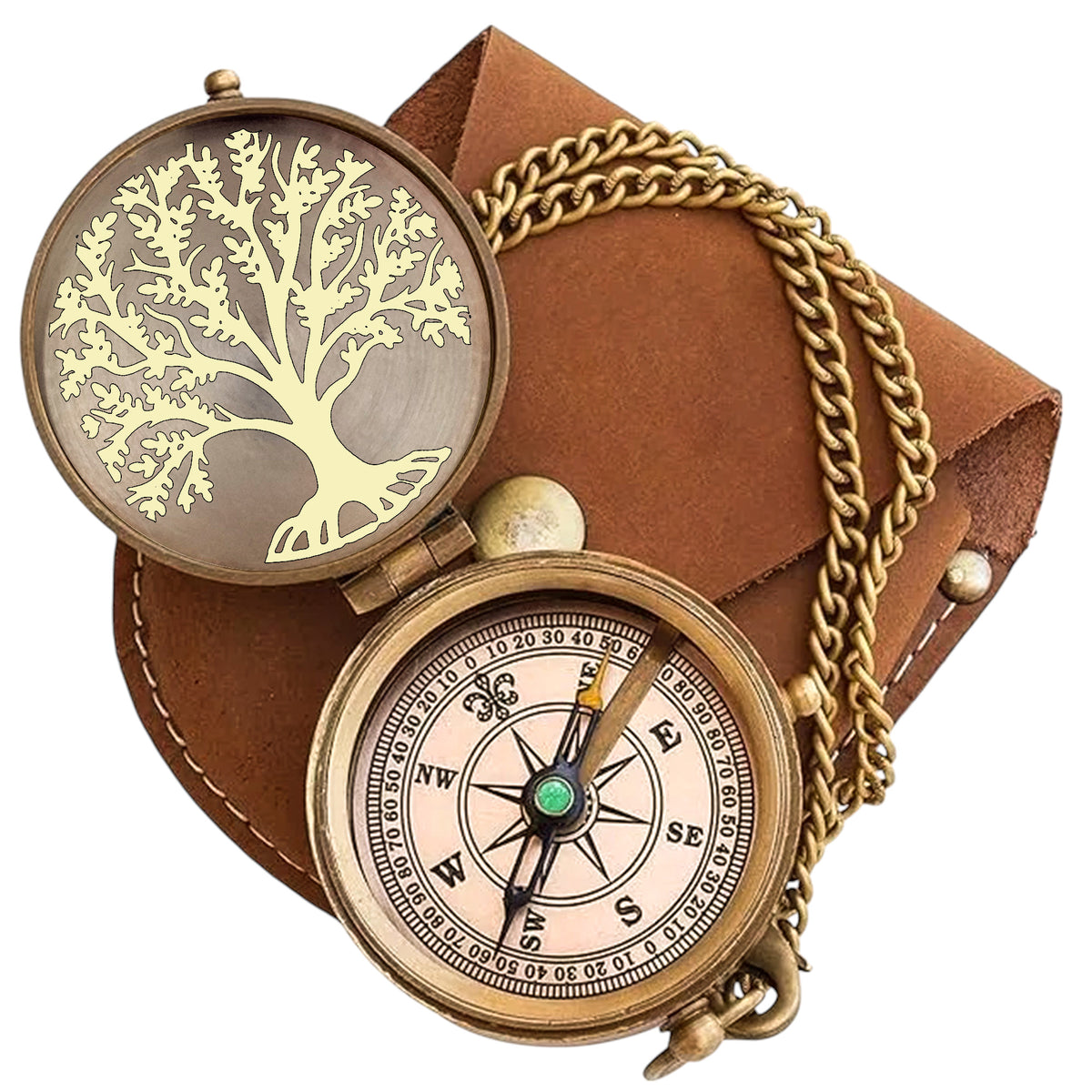 Personalized Tree of Life Compass